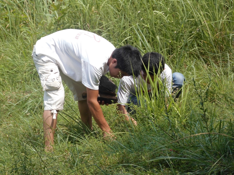 国产亚洲美日韩AV中文字幕无码成人