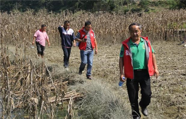 国产亚洲美日韩AV中文字幕无码成人
