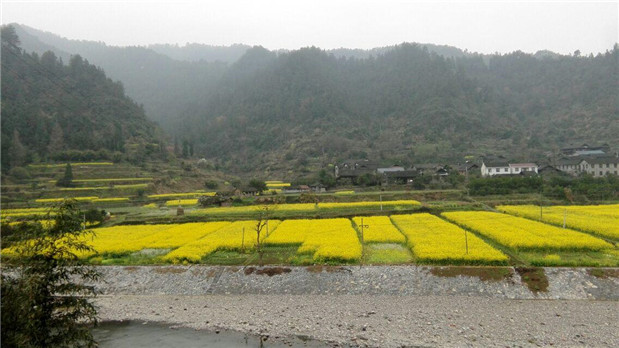 国产亚洲美日韩AV中文字幕无码成人