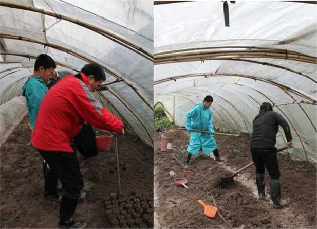 国产亚洲美日韩AV中文字幕无码成人