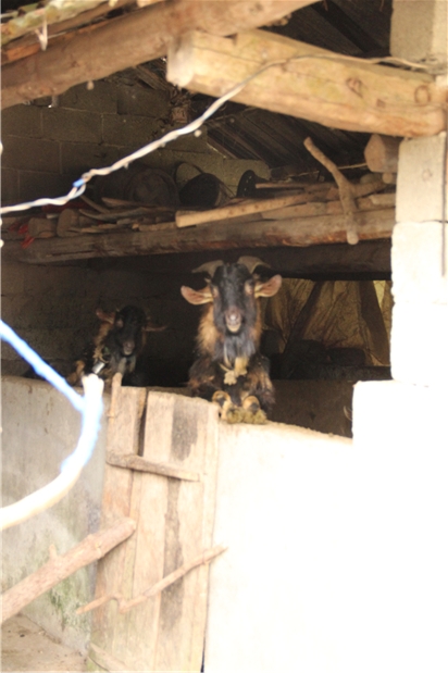 国产亚洲美日韩AV中文字幕无码成人