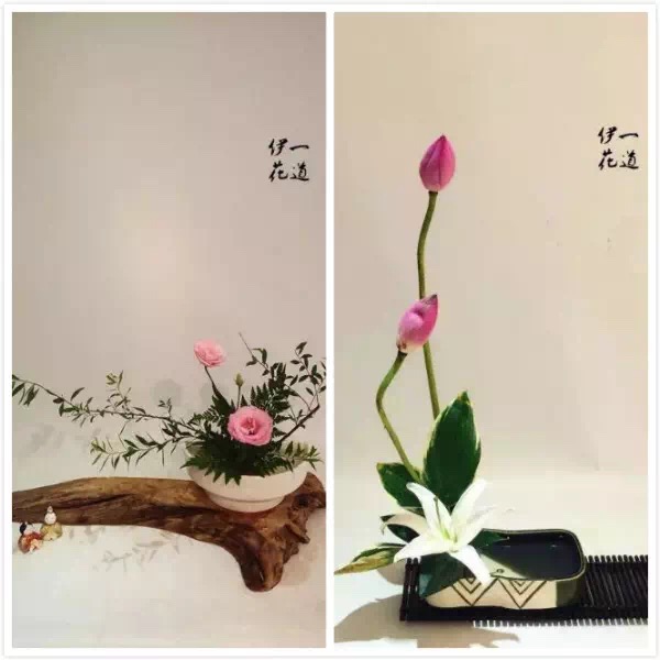 国产亚洲美日韩AV中文字幕无码成人