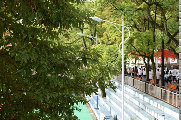 国产亚洲美日韩AV中文字幕无码成人